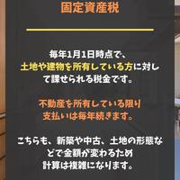 画像255