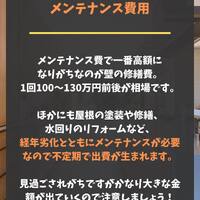 画像256